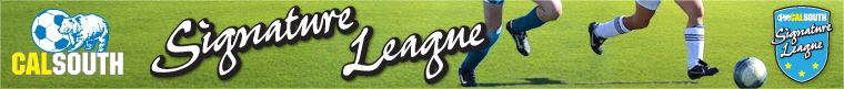 2014 Cal South Signature League Fall banner